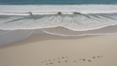 solo,outdoors,sky,day,water,no humans,bird,ocean,beach,scenery,sand,horizon,waves,shore,footprints,white background