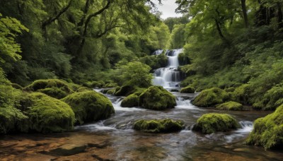 outdoors,day,water,tree,no humans,sunlight,nature,scenery,forest,rock,river,waterfall,landscape,stream,sky,moss