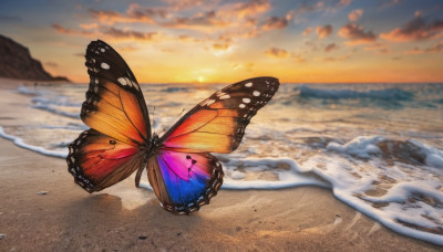 outdoors, sky, cloud, signature, water, blurry, no humans, ocean, animal, beach, cloudy sky, bug, butterfly, scenery, sunset, sand, horizon, shore