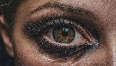 solo,looking at viewer,1boy,brown eyes,yellow eyes,male focus,teeth,water,blurry,eyelashes,close-up,1other,reflection,realistic,sunflower,eye focus,black hair