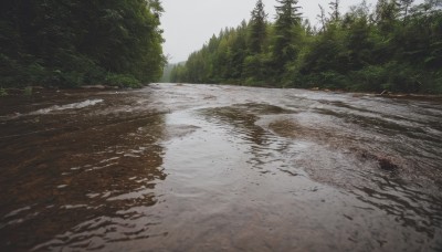 outdoors,sky,day,water,tree,no humans,grass,nature,scenery,forest,reflection,road,bush,river,landscape,cloud,cloudy sky,realistic,grey sky