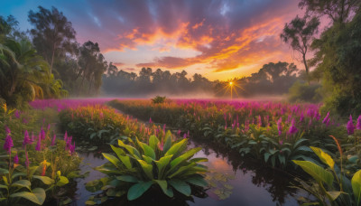 flower, outdoors, sky, cloud, water, tree, no humans, cloudy sky, grass, plant, nature, scenery, reflection, sunset, landscape