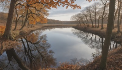 outdoors,sky,day,cloud,water,tree,blue sky,no humans,leaf,sunlight,grass,nature,scenery,forest,reflection,autumn leaves,maple leaf,autumn,landscape,lake,cloudy sky,mountain,bare tree,river,reflective water