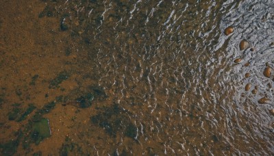 outdoors,water,no humans,ocean,from above,traditional media,nature,scenery,rock,sand,painting (medium),river,shore,tree,dutch angle,beach,landscape,orange theme,desert,cliff,footprints