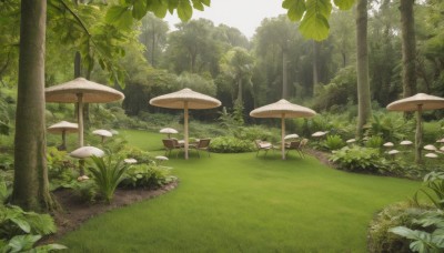 flower,outdoors,day,tree,no humans,leaf,sunlight,grass,plant,nature,scenery,forest,light rays,bush,mushroom,green theme,path,umbrella,chair,table,tree stump