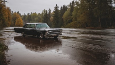 outdoors,sky,day,cloud,tree,no humans,ground vehicle,nature,scenery,motor vehicle,forest,realistic,car,road,vehicle focus,sports car,reflection,puddle