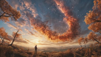 solo,short hair,1boy,standing,male focus,outdoors,sky,cloud,signature,from behind,tree,blue sky,leaf,sunlight,cloudy sky,grass,star (sky),nature,scenery,light particles,starry sky,sunset,sun,silhouette,autumn leaves,autumn,bird,horizon,wide shot,ambiguous gender