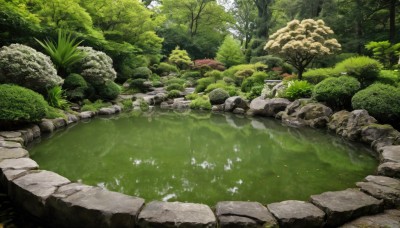 outdoors,day,water,tree,no humans,grass,plant,nature,scenery,forest,rock,river,landscape,moss,pond,stream,bush,stone