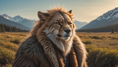 solo,1boy,brown eyes,jewelry,closed mouth,upper body,outdoors,sky,day,necklace,blurry,tree,no humans,blurry background,animal,nature,scenery,furry,forest,mountain,realistic,mountainous horizon,flower,blue sky,grass,field,animal focus,tiger