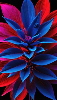 simple background,flower,no humans,leaf,plant,black background,blue flower,red theme,still life,signature,red flower,purple flower,morning glory