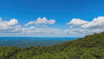 outdoors,sky,day,cloud,water,tree,blue sky,no humans,ocean,cloudy sky,grass,nature,scenery,forest,mountain,horizon,field,landscape,mountainous horizon,hill,signature,summer