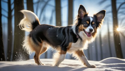 HQ,solo,looking at viewer,open mouth,brown eyes,full body,outdoors,day,tongue,tongue out,blurry,tree,pokemon (creature),no humans,animal,nature,snow,running,dog,snowing,realistic,sun,animal focus,winter,bare tree,standing,signature,collar,blurry background,fangs,watermark,web address,forest,deviantart username