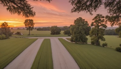 outdoors,sky,cloud,tree,no humans,cloudy sky,grass,plant,nature,scenery,sunset,mountain,horizon,road,bush,evening,landscape,orange sky,path,hill,ocean,forest,field,gradient sky