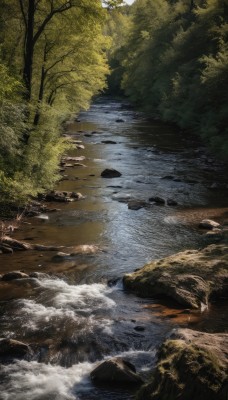 outdoors,day,water,tree,no humans,sunlight,nature,scenery,forest,rock,river,landscape,stream,grass