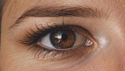 solo,looking at viewer,1boy,male focus,eyelashes,traditional media,close-up,1other,reflection,realistic,eye focus,brown theme