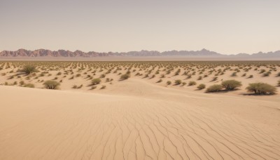 outdoors,sky,day,tree,no humans,beach,grass,nature,scenery,mountain,sand,horizon,road,landscape,mountainous horizon,shore,path,ground vehicle,motor vehicle,field,desert