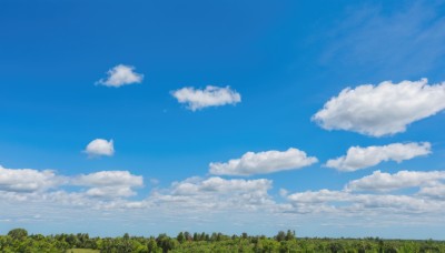 outdoors,sky,day,cloud,tree,blue sky,no humans,cloudy sky,nature,scenery,forest,grass,field,summer