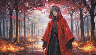 1girl,solo,long hair,looking at viewer,bangs,black hair,long sleeves,dress,standing,braid,grey hair,outdoors,hood,water,tree,sleeves past wrists,grey eyes,leaf,fire,nature,scenery,cloak,hood up,forest,reflection,autumn leaves,maple leaf,hooded cloak,autumn,falling leaves,red cloak,red hood,gloves,parted lips,day,black gloves,twin braids,hair over shoulder