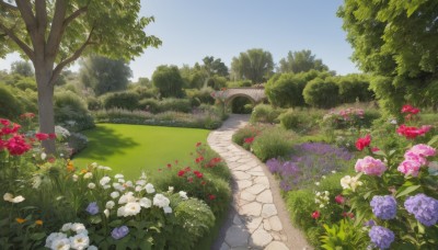 flower,outdoors,sky,day,tree,blue sky,no humans,shadow,sunlight,grass,plant,white flower,red flower,nature,scenery,pink flower,forest,blue flower,yellow flower,purple flower,road,bush,path,garden,building,field,house,hydrangea,pavement