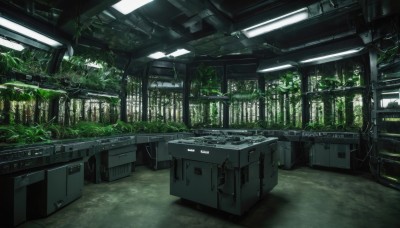 day,indoors,tree,no humans,window,sunlight,plant,nature,scenery,forest,ruins,green theme,moss,overgrown,cable,vines,ceiling,train station,post-apocalypse