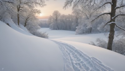 outdoors,sky,day,water,tree,no humans,bird,sunlight,nature,scenery,snow,forest,mountain,sun,winter,bare tree,landscape,monochrome,cloud,signature,sunset,horizon,sunrise