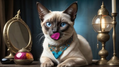 HQ,solo,looking at viewer,blue eyes,jewelry,necklace,no humans,animal,cat,curtains,gem,reflection,mirror,realistic,lamp,animal focus,whiskers,blue gemstone,sitting,indoors,slit pupils