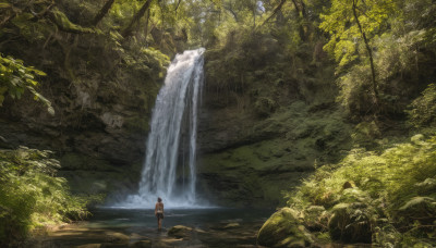 1girl, solo, outdoors, day, water, tree, nature, scenery, forest, waterfall