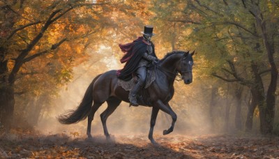 solo,1boy,hat,male focus,boots,outdoors,day,cape,armor,tree,black headwear,animal,leaf,sunlight,gauntlets,nature,scenery,1other,forest,top hat,black cape,riding,autumn leaves,horse,knight,ambiguous gender,horseback riding,reins,saddle,pants,from side,black pants,cloak,autumn,black cloak