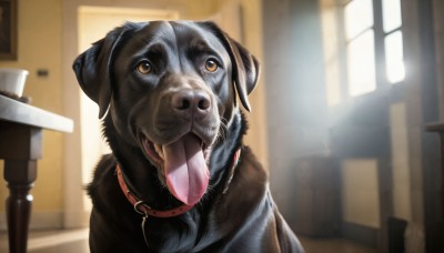 HQ,solo,brown eyes,tongue,indoors,tongue out,blurry,collar,cup,no humans,window,depth of field,blurry background,animal,table,dog,realistic,leash,door,animal focus,animal collar,looking at viewer,open mouth,day,saliva,chair,sunlight,red collar