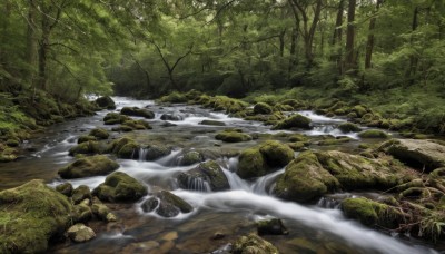 outdoors,day,water,tree,no humans,nature,scenery,forest,rock,river,waterfall,moss,stream,sunlight,landscape