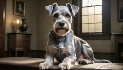 HQ,blue eyes,indoors,blurry,collar,book,no humans,window,bell,animal,table,neck bell,dog,realistic,lamp,photo (object),animal focus,animal collar,picture frame,solo,looking at viewer,brown eyes,day,depth of field,desk,red collar,painting (object),picture (object),cabinet,portrait (object)