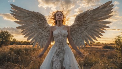 1girl,solo,long hair,brown hair,dress,bare shoulders,standing,closed eyes,outdoors,wings,sky,cloud,white dress,tree,cloudy sky,grass,nature,scenery,feathered wings,facing viewer,sunset,angel wings,realistic,arms at sides,angel,field,brown eyes,underwear,panties,lips,see-through,floating hair,wind,backlighting