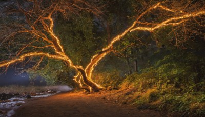 outdoors,water,tree,no humans,night,grass,nature,scenery,forest,rock,branch,bare tree,river,sky,traditional media,plant,night sky,landscape