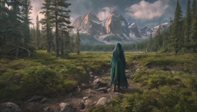 1girl,solo,long hair,very long hair,standing,outdoors,green hair,sky,day,cloud,from behind,tree,cloudy sky,grass,nature,scenery,forest,rock,mountain,fantasy,facing away,landscape,cloak,mountainous horizon