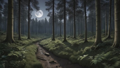 outdoors,sky,water,tree,no humans,night,moon,grass,nature,night sky,scenery,full moon,forest,rock,bush,river,landscape,moonlight,path,plant