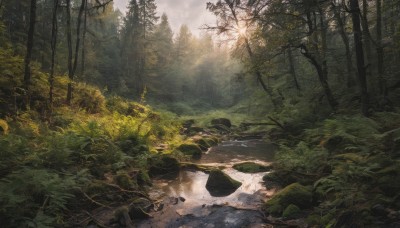 outdoors,sky,day,cloud,water,tree,no humans,sunlight,grass,plant,nature,scenery,forest,reflection,light rays,rock,sunbeam,river,landscape,stream