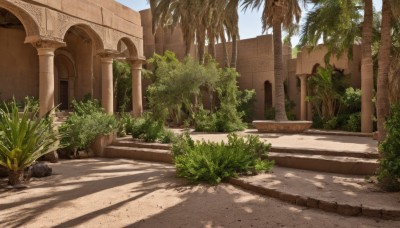 outdoors,sky,day,tree,blue sky,no humans,shadow,sunlight,grass,plant,building,scenery,palm tree,potted plant,road,bush,shade,pillar,arch,cloud,stairs,architecture,path,column