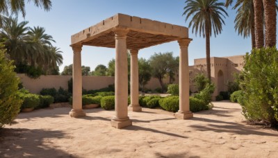 outdoors,sky,day,tree,blue sky,no humans,shadow,sunlight,grass,plant,scenery,sand,palm tree,road,bush,shade,pillar,column,cloud,building,arch