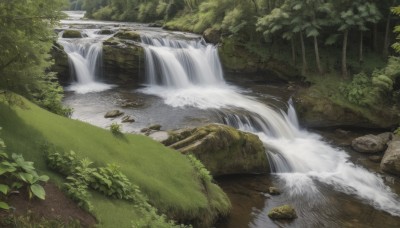 outdoors,day,water,tree,no humans,grass,plant,nature,scenery,forest,rock,river,waterfall,landscape,moss,stream,leaf,bush