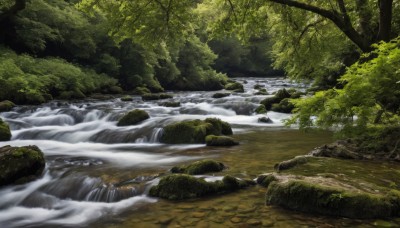 outdoors,day,water,tree,no humans,nature,scenery,forest,rock,river,waterfall,landscape,stream,sunlight,grass,moss