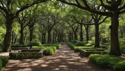 outdoors,day,tree,no humans,shadow,sunlight,grass,plant,nature,scenery,forest,road,bench,bush,shade,dappled sunlight,path,park,stairs,tree shade