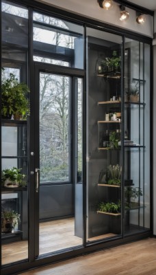 indoors,tree,cup,no humans,window,table,plant,scenery,snow,wooden floor,door,potted plant,lamp,winter,shelf,bare tree,light bulb,ceiling light,flower,day