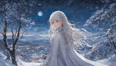 1girl,solo,long hair,looking at viewer,bangs,hair ornament,long sleeves,dress,jewelry,closed mouth,standing,upper body,braid,flower,white hair,earrings,outdoors,parted lips,sky,looking back,cloud,hair flower,cape,white dress,tree,looking to the side,grey eyes,night,floating hair,moon,white flower,building,star (sky),night sky,scenery,snow,full moon,starry sky,snowing,mountain,branch,house,winter,bare tree,mountainous horizon,white theme,town,pine tree,hairband,from side,lips,wavy hair,expressionless,wind,cloak,white cape