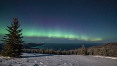 outdoors,sky,tree,no humans,night,star (sky),nature,night sky,scenery,snow,forest,starry sky,mountain,road,winter,landscape,pine tree,aurora,water,blurry,ocean,beach,sand,horizon,lake,shore