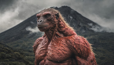 solo, closed mouth, upper body, outdoors, sky, cloud, no humans, cloudy sky, mountain, realistic, grey sky, kaijuu