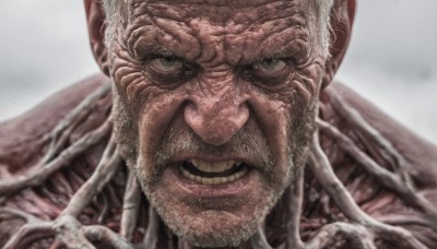 solo,looking at viewer,smile,open mouth,1boy,male focus,teeth,grin,blurry,blurry background,facial hair,portrait,beard,close-up,realistic,mustache,bald,old,old man,wrinkled skin,simple background,green eyes,grey background,veins,monster,horror (theme)