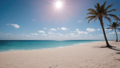 outdoors,sky,day,cloud,water,tree,blue sky,no humans,shadow,ocean,beach,sunlight,cloudy sky,scenery,sand,palm tree,sun,horizon,summer,waves,shore