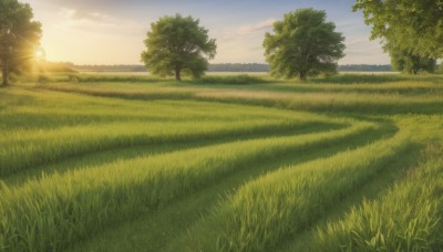 outdoors,sky,day,cloud,tree,blue sky,no humans,sunlight,grass,nature,scenery,forest,sunset,mountain,sun,field,landscape,hill,cloudy sky,horizon,road