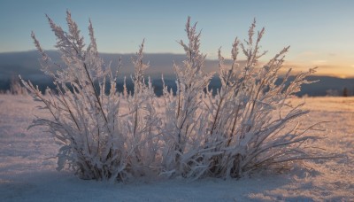 outdoors,sky,day,cloud,blurry,tree,blue sky,no humans,plant,nature,scenery,snow,sunset,horizon,winter,bare tree,landscape,mountainous horizon,gradient sky,sunrise,water,ocean,beach