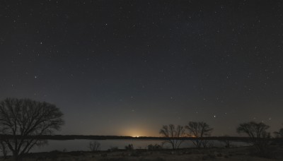 outdoors,sky,cloud,water,tree,no humans,night,grass,star (sky),nature,night sky,scenery,starry sky,sunset,bare tree,monochrome,star (symbol),horizon,landscape